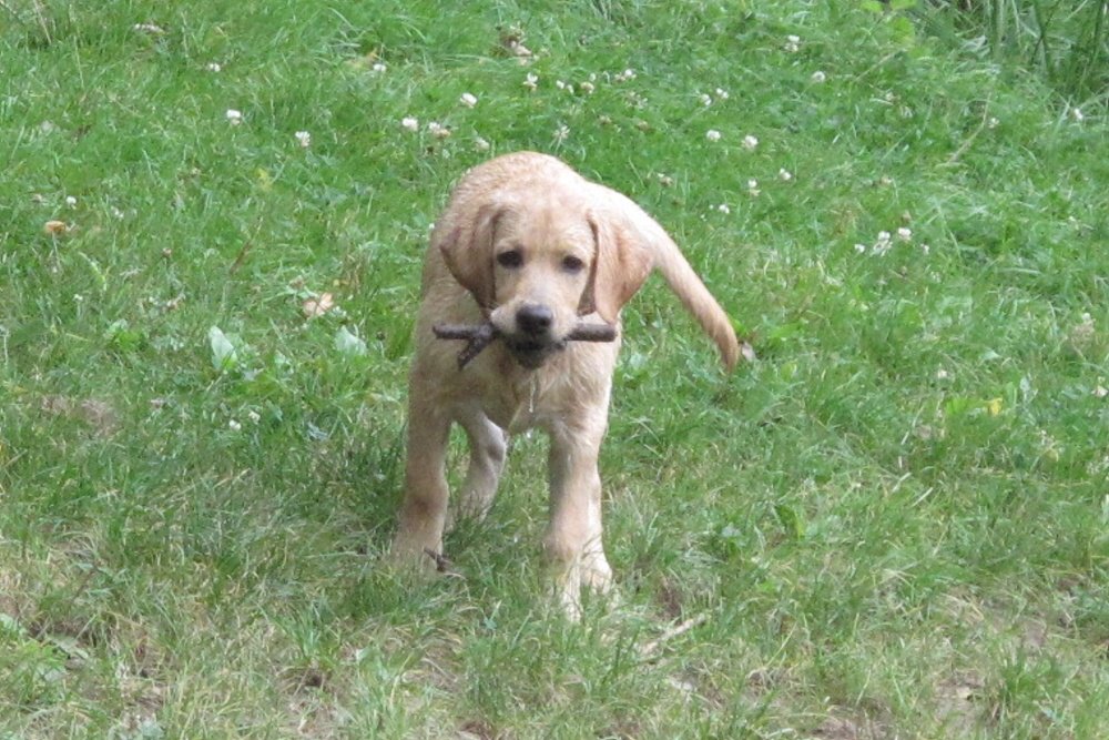 2009-09-12 - 0075-01.jpg