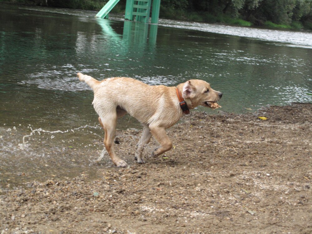 2009-09-12 - 0101.jpg