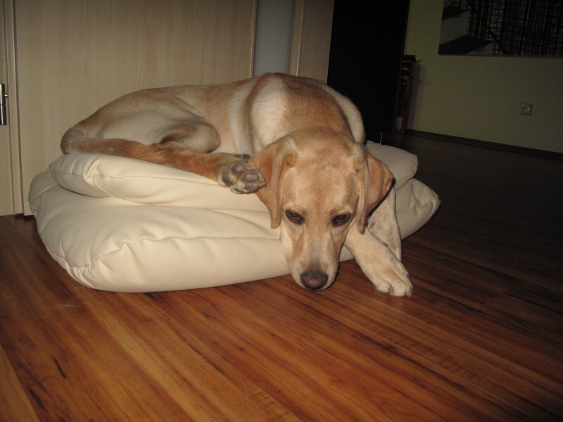 2009-11-13 - 0002.jpg