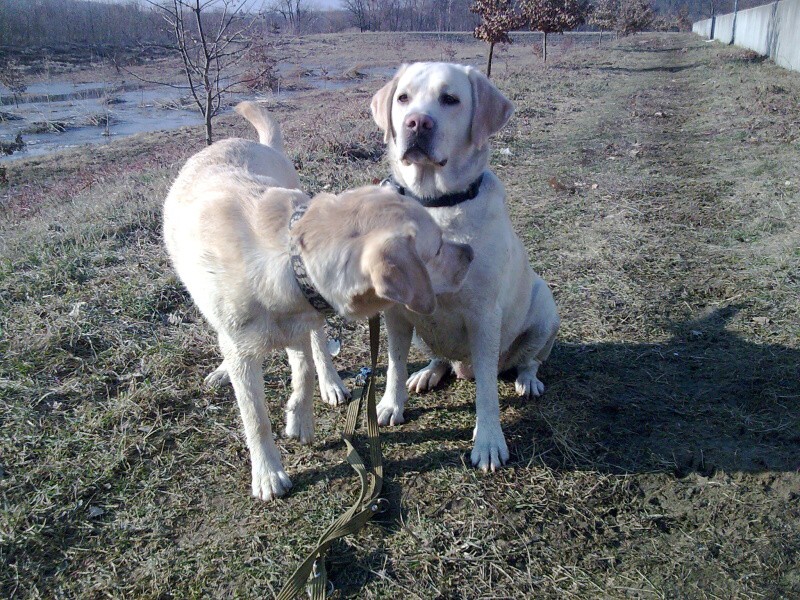 2010-03-07 - 0001.jpg
