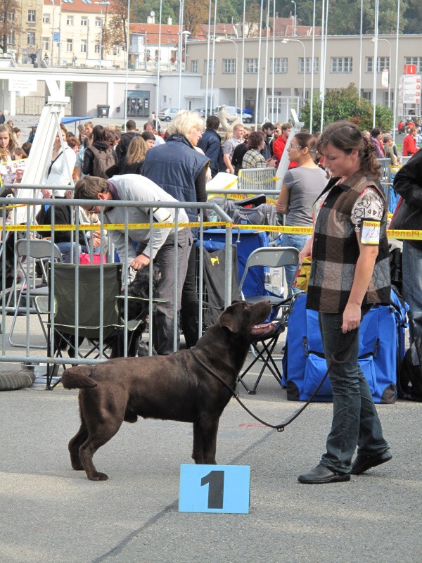 2010-09-25 - 0077