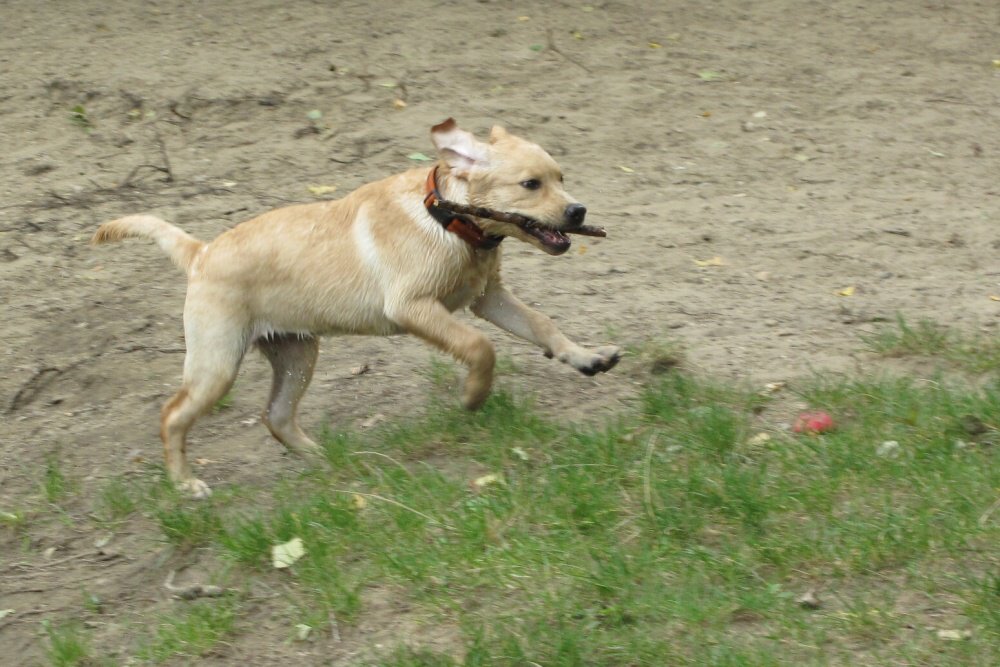 2009-09-12 - 0013-01.jpg