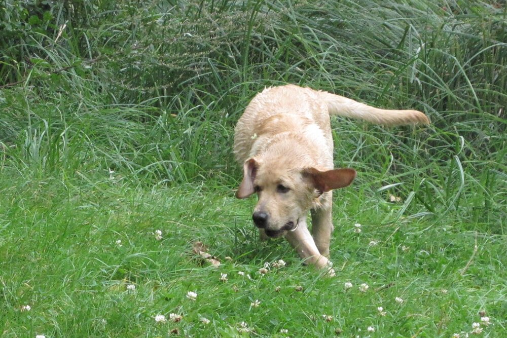 2009-09-12 - 0033-01.jpg