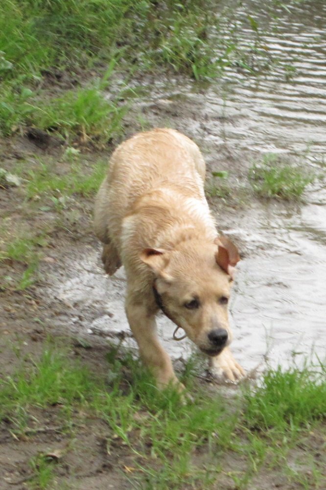 2009-09-12 - 0034-01.jpg
