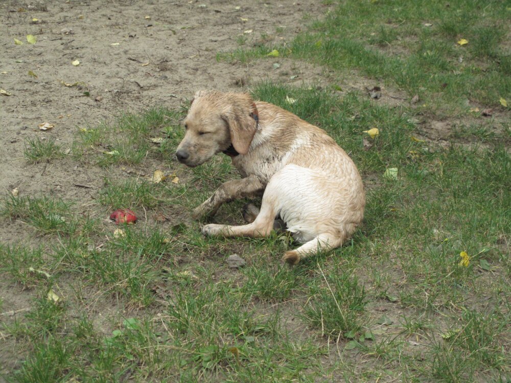 2009-09-12 - 0038.jpg
