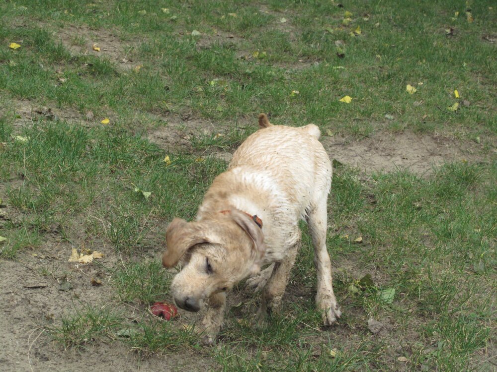 2009-09-12 - 0042.jpg