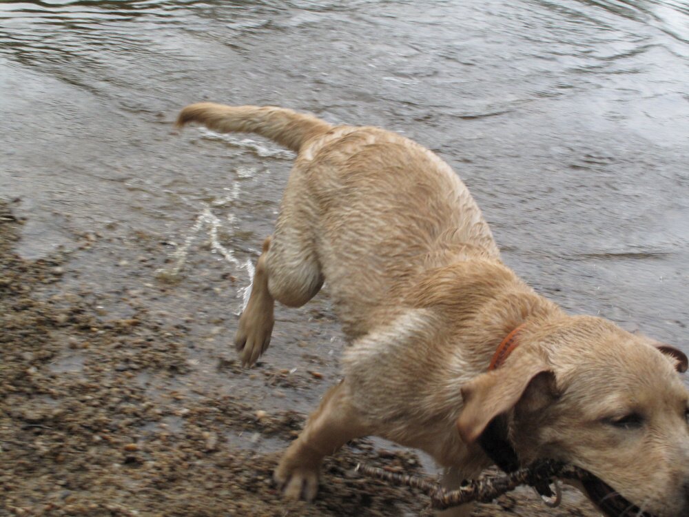 2009-09-12 - 0062.jpg